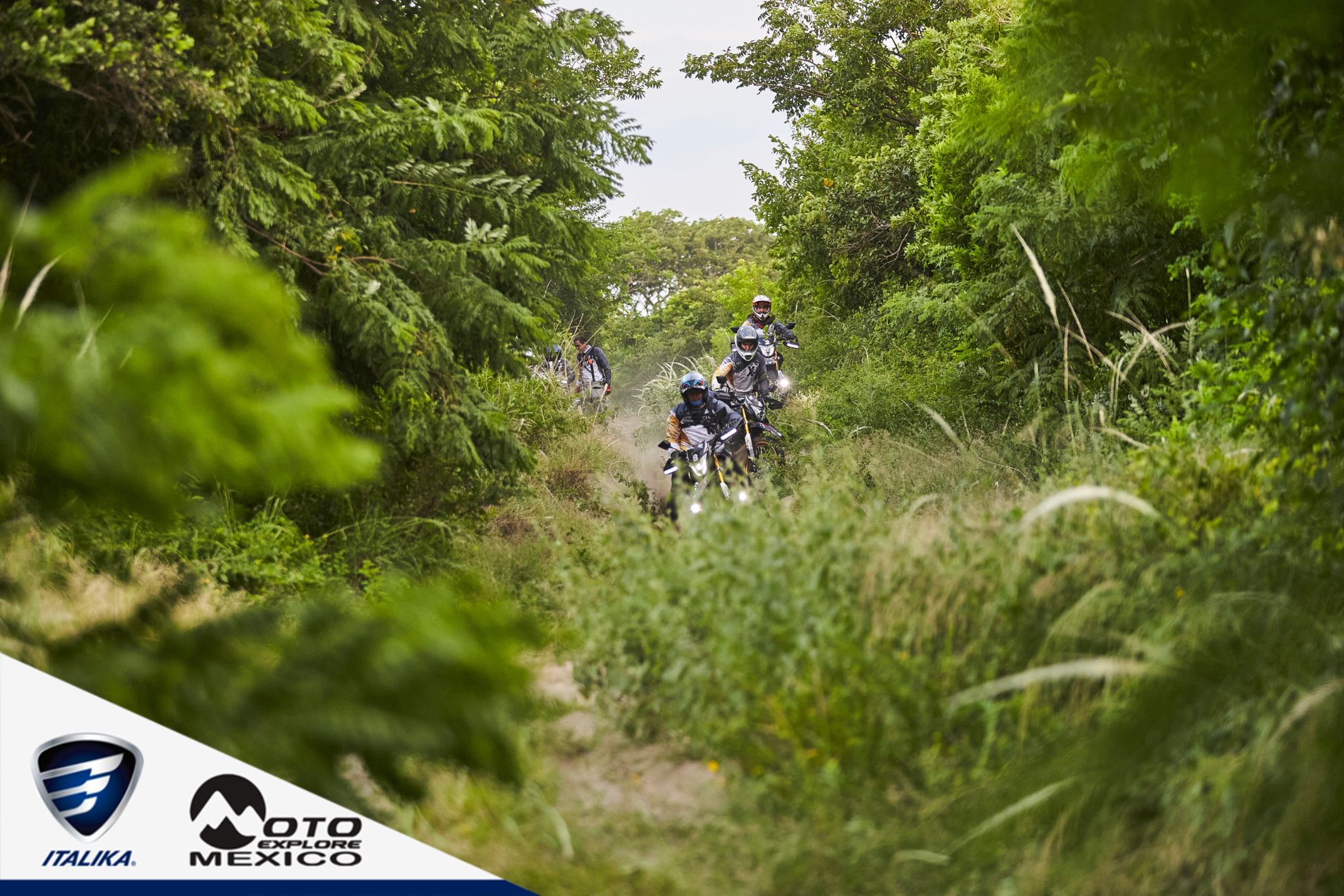 ITALIKA CHACHALACAS D1 391